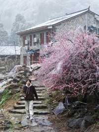 浙江的冰雪世界，我在缙云找到超美「魯冰花」