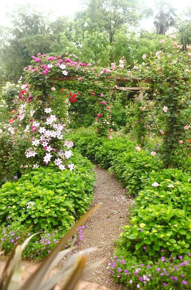 下田公園——沐浴在紫陽花的海洋！