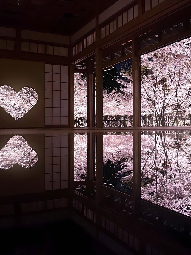 京都可愛可愛！櫻花超值得打卡地在這！