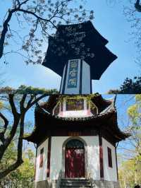 上海天馬山，千年斜塔屹立，此地好風水