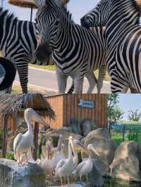 徐州九頂山野生動物園親子遊全攻略