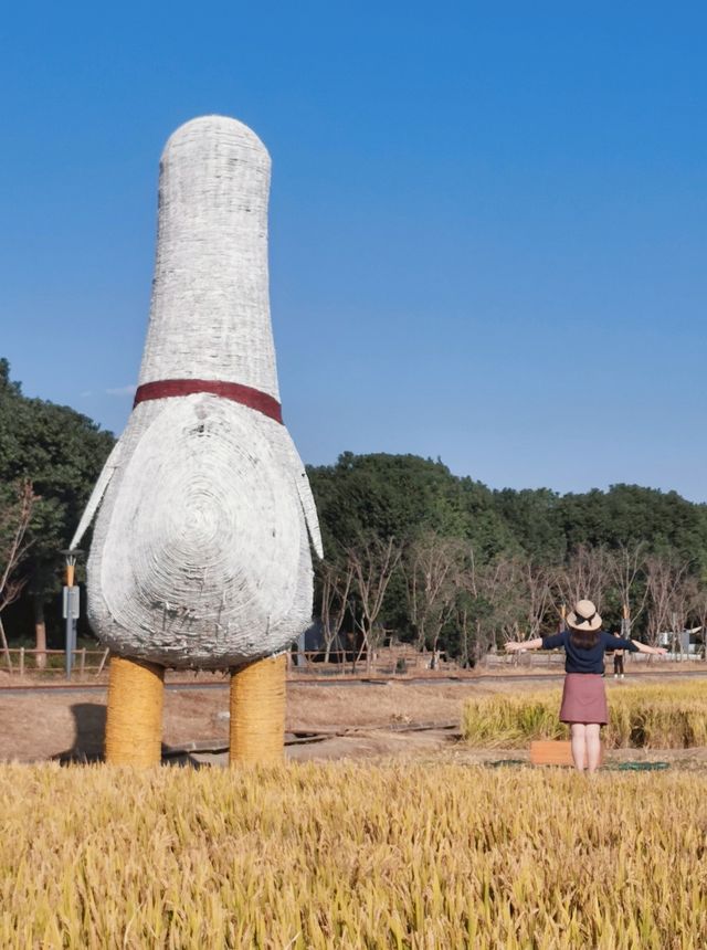 暢遊昆山|走近理想村—計家墩