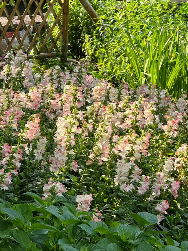 逛公園是一種怎樣的體驗這份合集就來告訴你