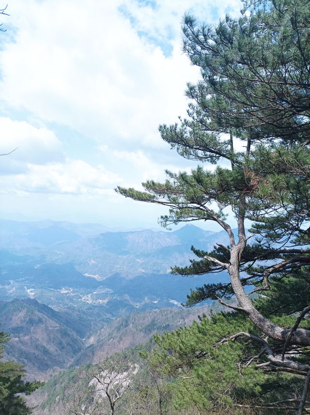 大別山主峰