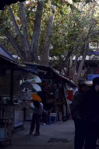 不僅名勝古蹟，推薦西安的這些地方