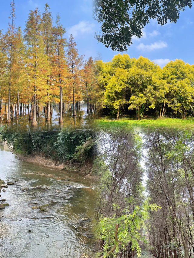成都 白鹭灣濕地公園 ｜美如油畫宛如大自然的調色盤