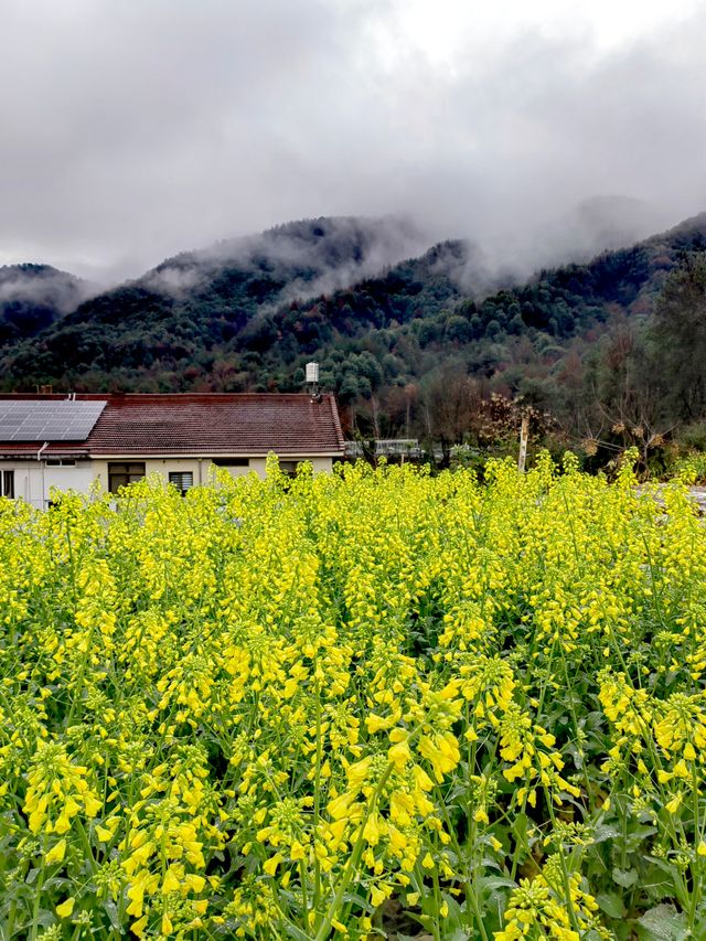 雲遮霧罩西峽峰，蒼翠欲滴水隆隆