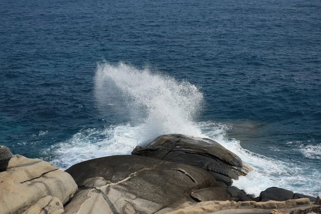 海島日記 | 三亞回來真的有戒斷反應