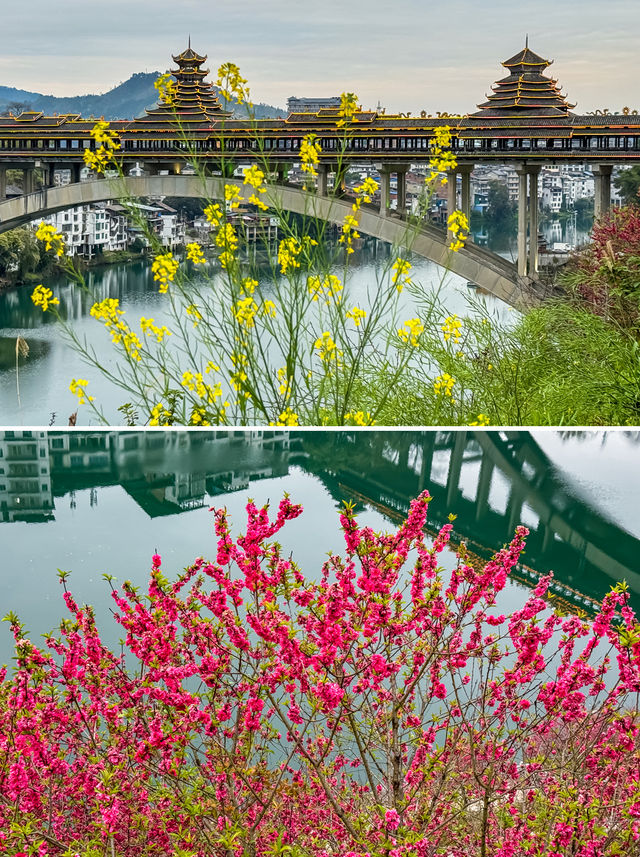 一場奔赴廣西三江說走就走的春日踏青旅行