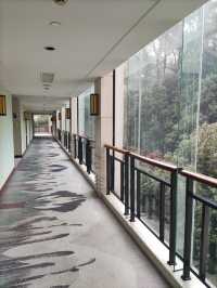 元旦假期浙江賓館超滿意的住宿體驗——