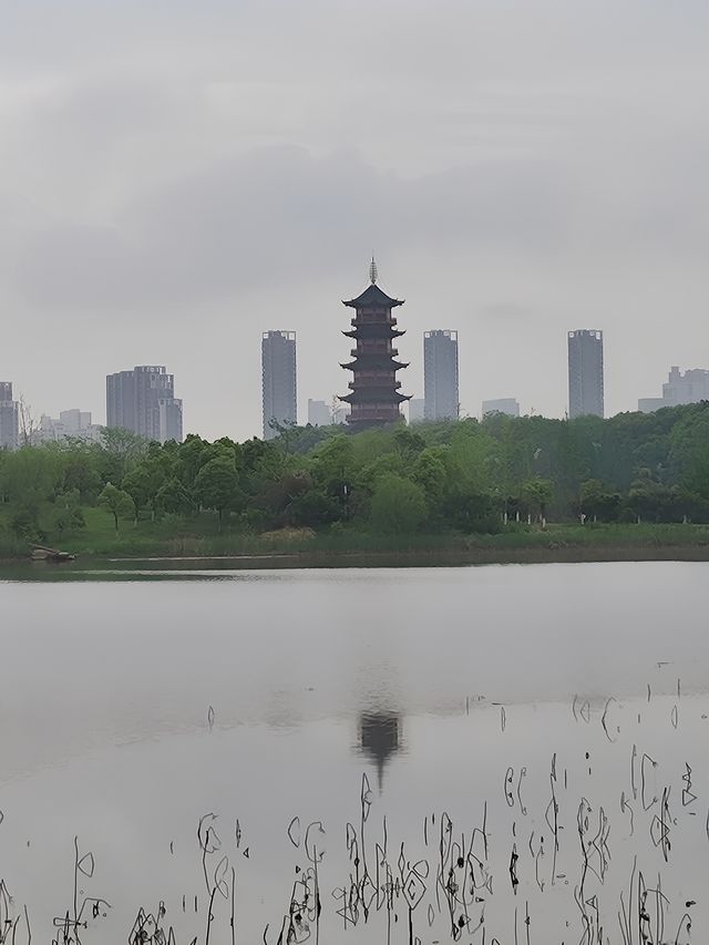 江西南昌 象湖濕地公園 洗肺絕佳地