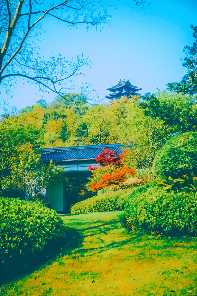 宜興小秘密，蘇東坡都為之傾倒的江南小城