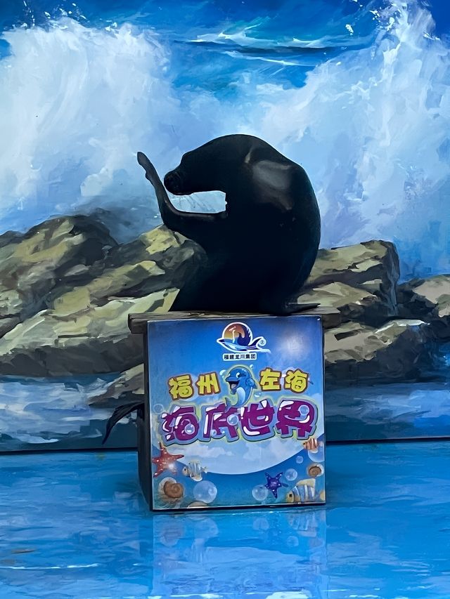 左海海底世界·長大後第一次來這兒玩～
