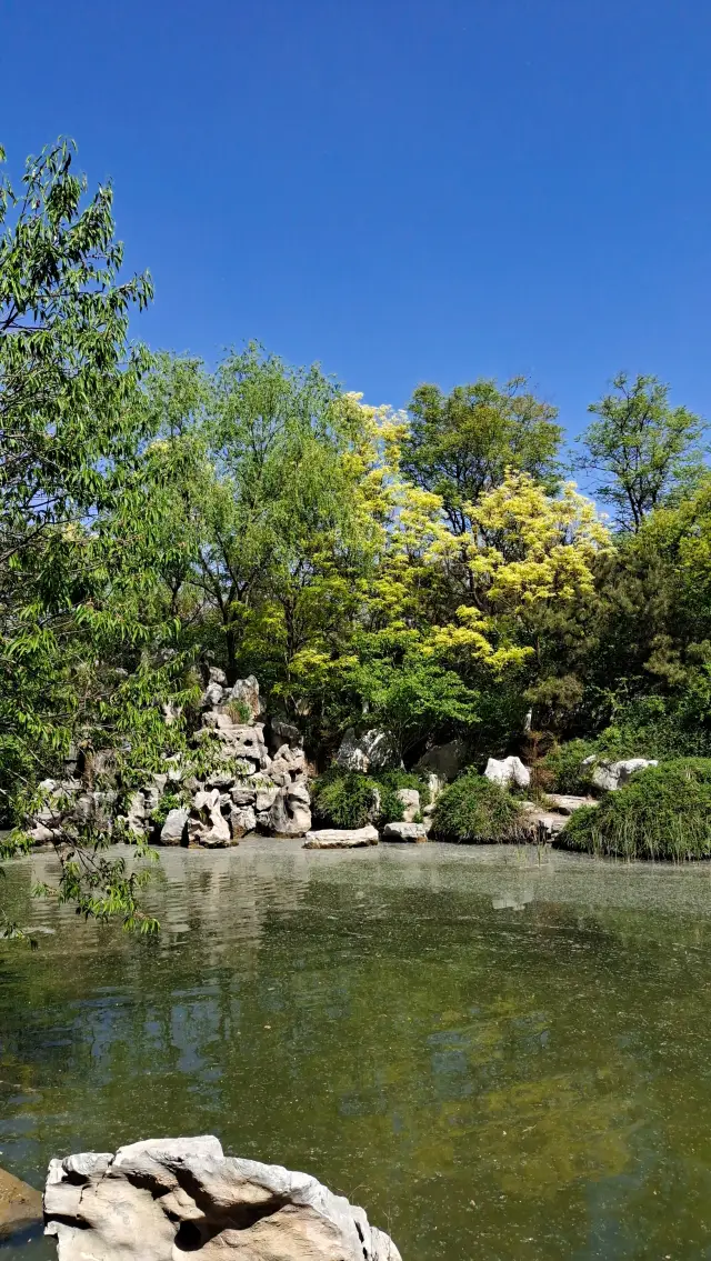 北京園博園裡的“莫奈花園”