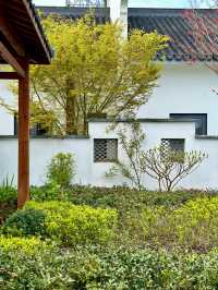 在這個有風的季節,去一次崇明島吧吧!