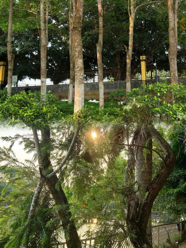 徐聞人民公園最佳遊玩攻略 徐聞人民公園最佳遊玩攻略