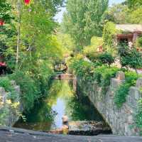專屬於中國人的莫奈花園——蘭陵壓油溝