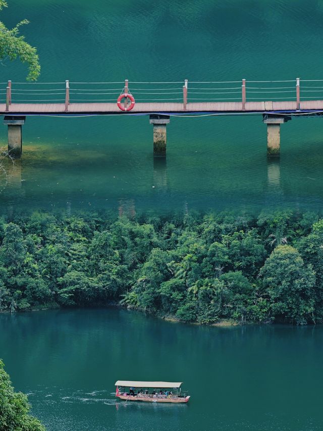 肇慶鼎湖山：廣東四大名山之首，吸氧聖地