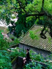 廣東佛山的600年隱世古村，體驗傳統嶺南文化