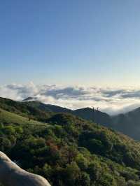 不需要去北方，湖南也能看到高山草甸！