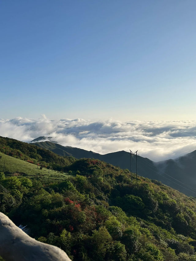 不需要去北方，湖南也能看到高山草甸！