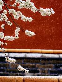 北京賞雪