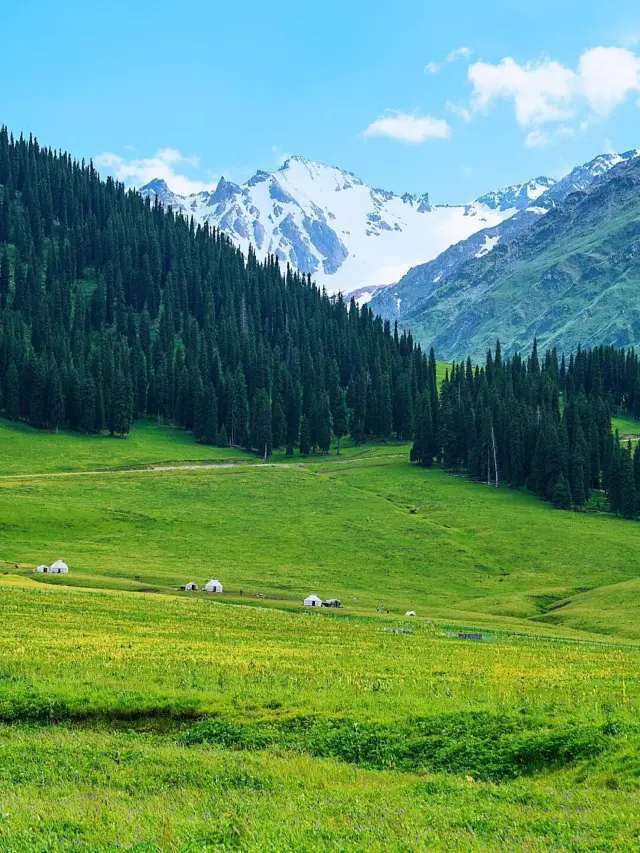Xinjiang Ili Grassland Travel Guide.