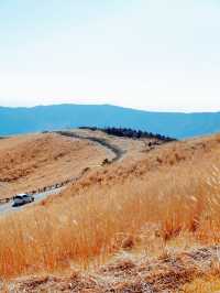 【熊本市】阿蘇火山博物館：春天踏春必去景點中文播音方便又貼心
