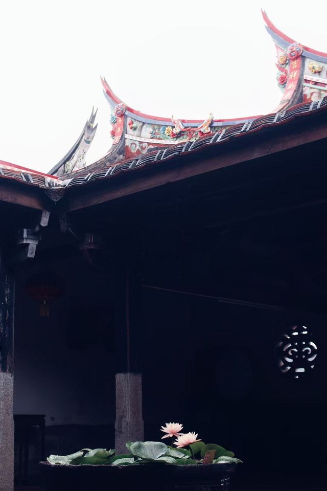 古風古韻且人煙稀少,這樣的埭美怎能錯過? 古風古韻且人煙稀少,這樣的埭美怎能錯過?
