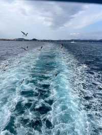 人均2K玩轉濟州島|濟州島值得一看！！！。