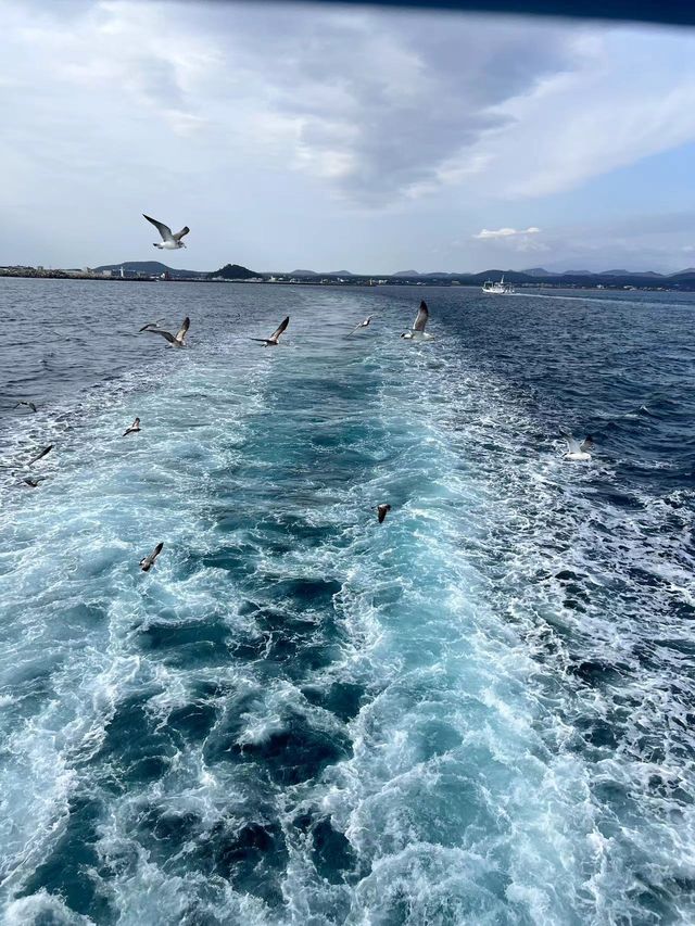 人均2K玩轉濟州島|濟州島值得一看！！！。