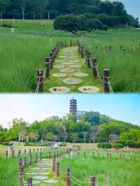 體驗宮崎駿的夏天