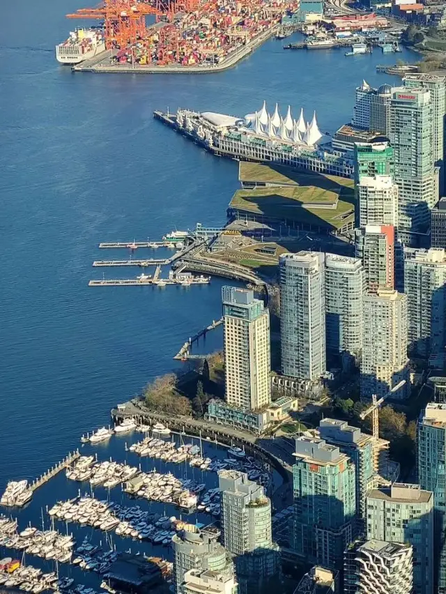 溫哥華的夏日魔法：高空美景與海灘風情