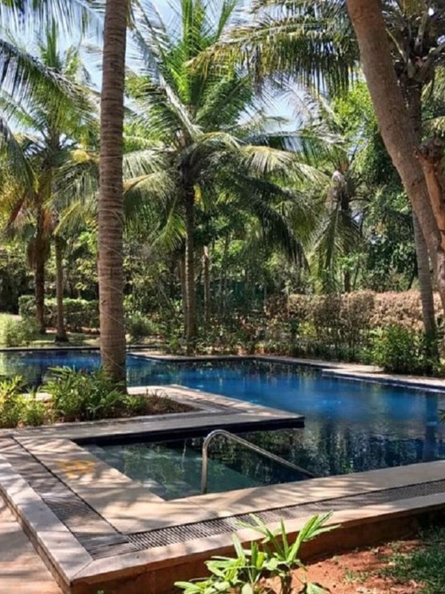 🌟 Kabini's Cozy Retreats Unveiled! 🛏️🌿
