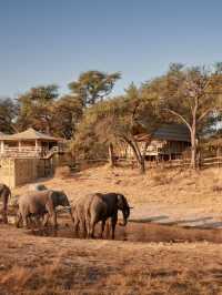 7-Day/6-Night Botswana Safari with Belmond Safaris Series