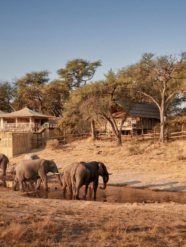 7-Day/6-Night Botswana Safari with Belmond Safaris Series