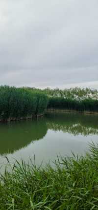 張掖國家濕地公園
