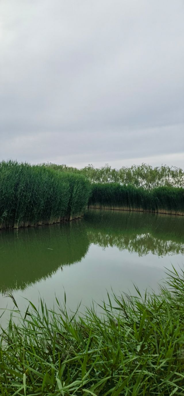 張掖國家濕地公園