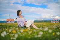 高性價比打卡絕美雪山花海·川西自駕俄么塘