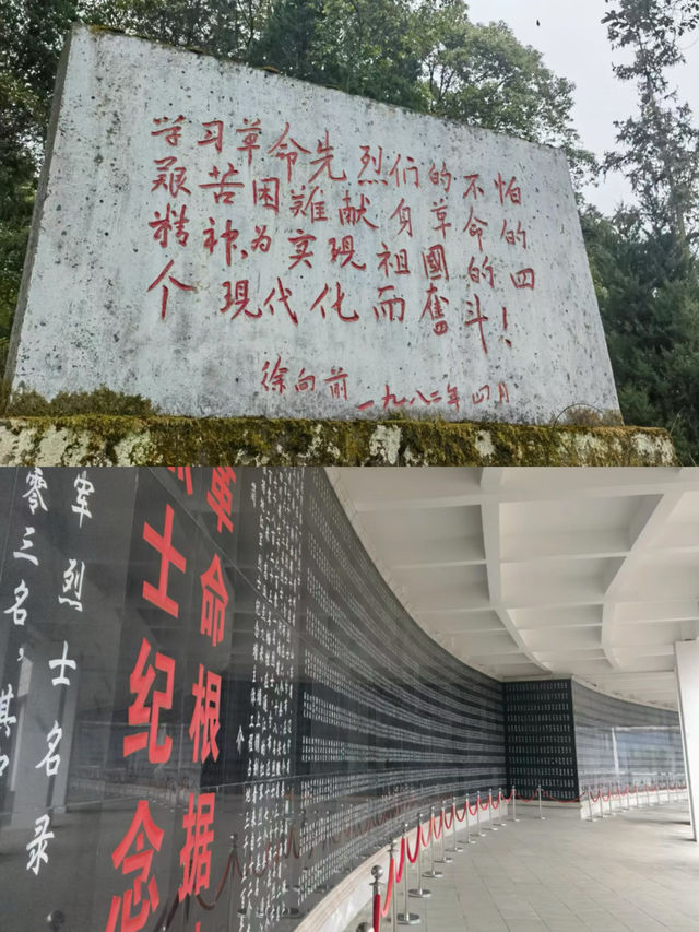 余生德勒115：走出這裡，每個人都無比悲痛