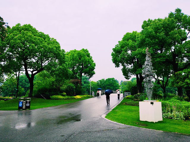閔行文化公園｜梅雨瀟瀟瀝瀝，公園鬱鬱蔥蔥