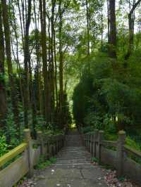 暑期近郊親子徒步寶藏地 | 跑馬嶺避暑納涼，好愜意