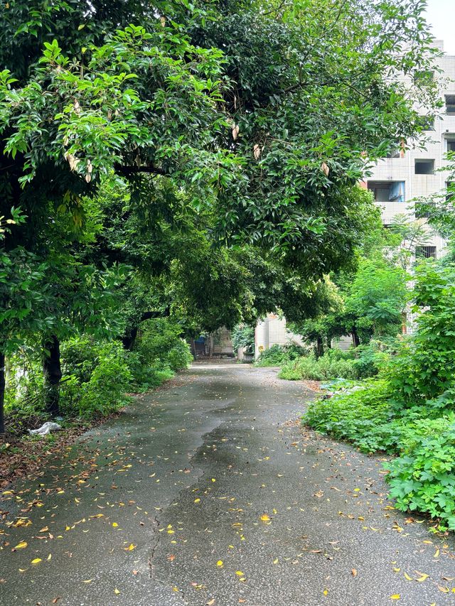 重慶 | 陳電村