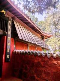 一起看綿陽世界級風景｜七曲山大廟（四）