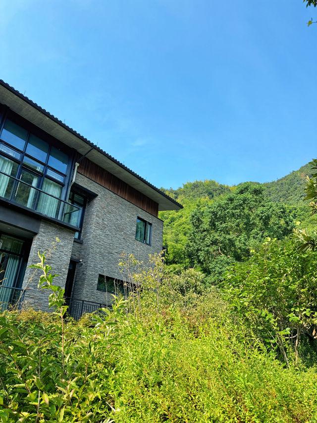 住進群山環抱的竹海，來一場森系療癒