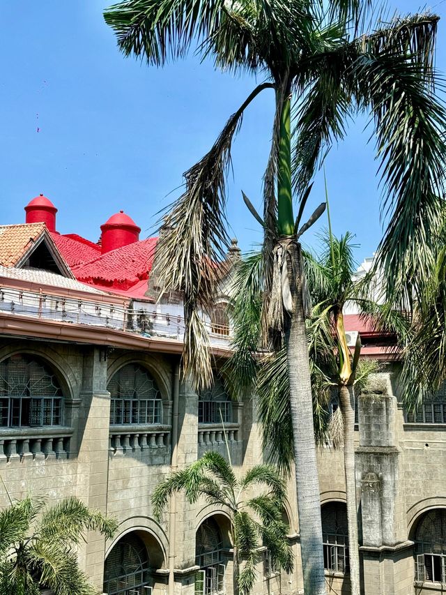 Manila City Walk 🚶‍♂️