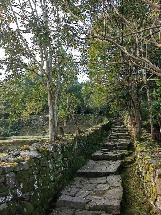 恩施唐崖土司城遺址，穿越時光邂逅古老傳奇，彰顯荊南雄風！