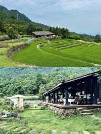 隱匿於重慶墊江的山頂雲霧民宿|飛茑集