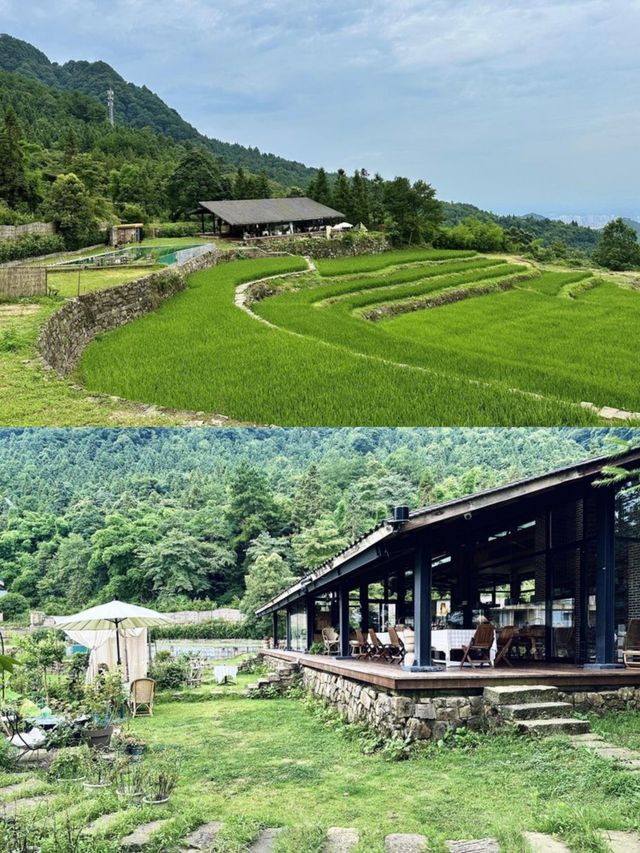 隱匿於重慶墊江的山頂雲霧民宿|飛茑集