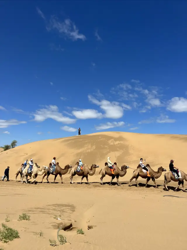 最實用庫布齊沙漠景區遊玩攻略。